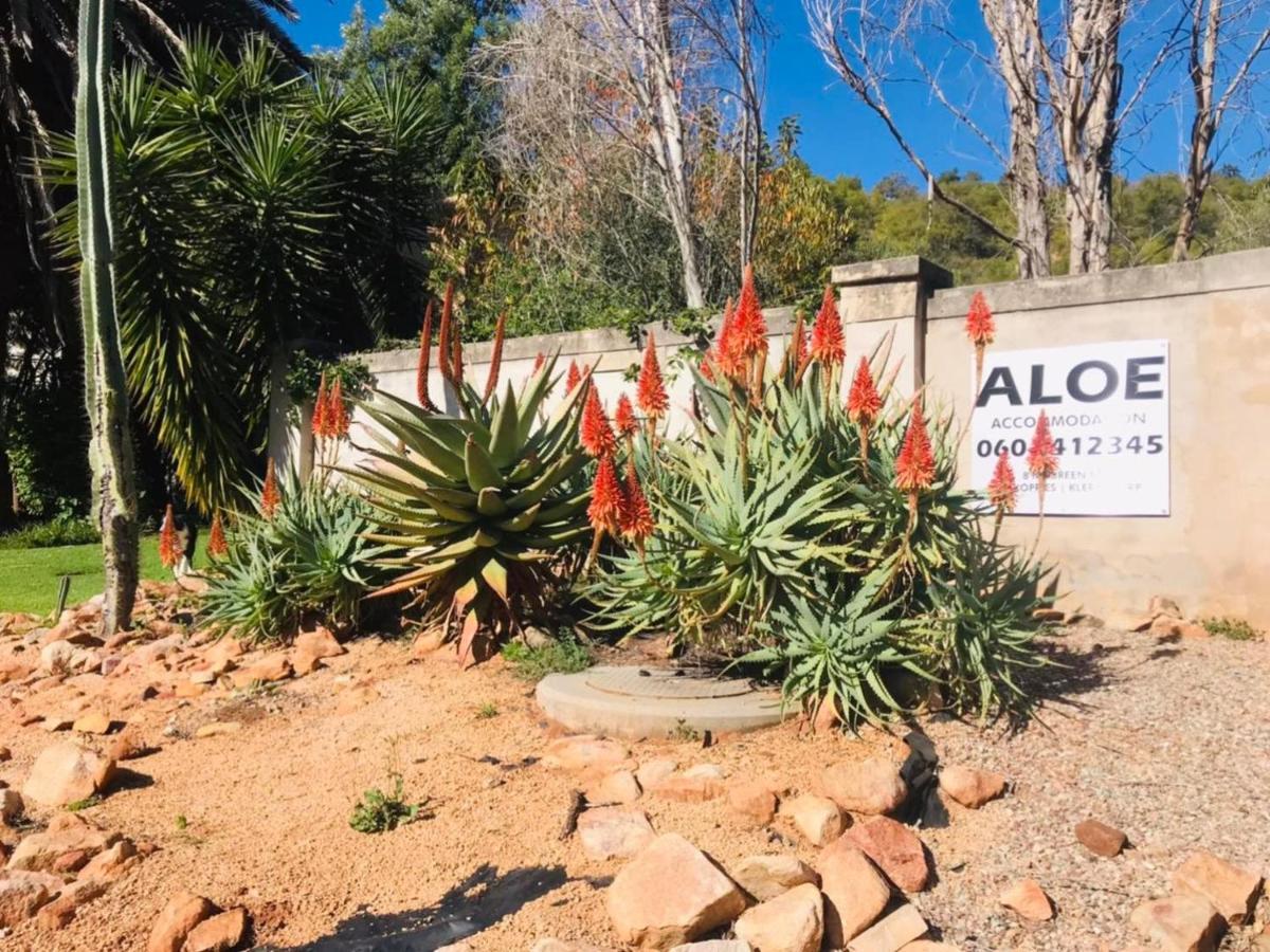 Aloe Guesthouse Klerksdorp Exterior foto